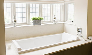 white bathtub near two green leaf plant with silver pot between two silver decors on window